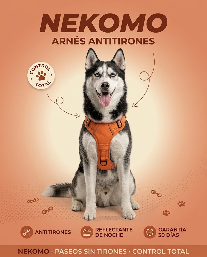 Arnes husky hero