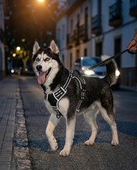 Arnés Antitirones Reflectante para Perros